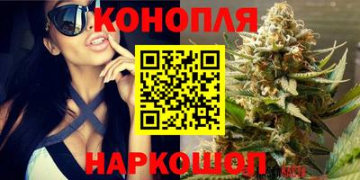 стафф Среднеуральск